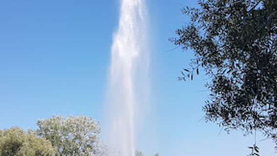 Park im Grünen - Dinosaurier