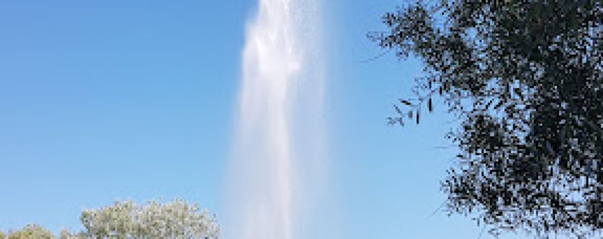 Park im Grünen - Dinosaurier