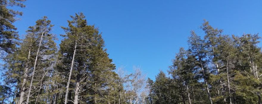 Ashmere Lake State Park
