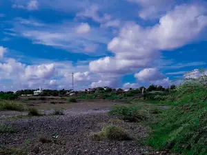 Ghela