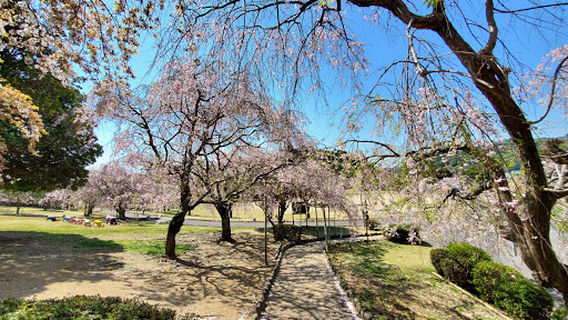 Kodabunka Park