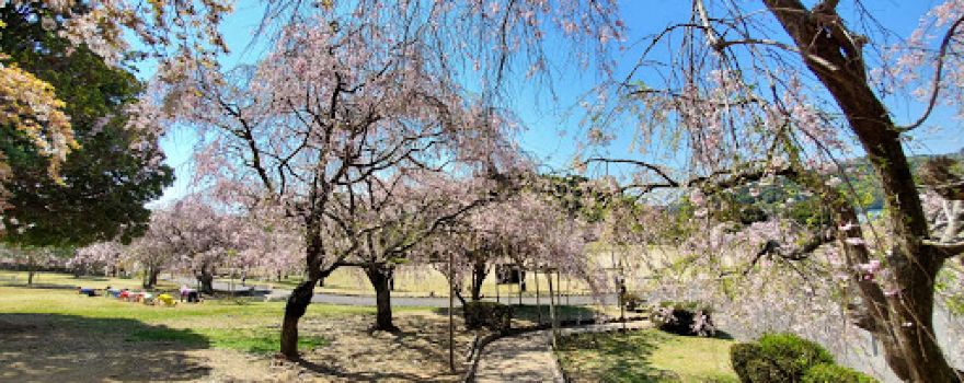 Kodabunka Park
