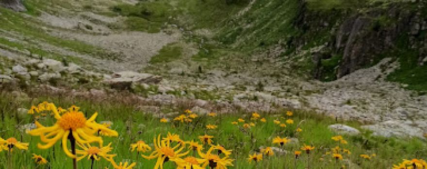 Hohe Leier