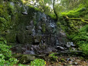 Kologha Picnic Spot and Forest Trails