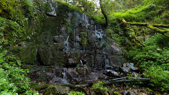 Kologha Picnic Spot and Forest Trails