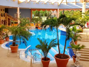 Popular Hot Springs Attractions in Brandenburg