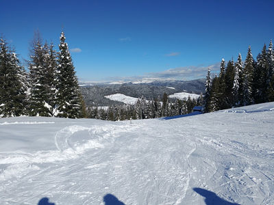 Bald Mountain Ski Area