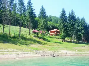 Zlatar