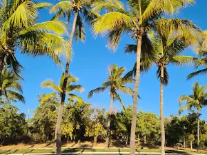 Culiacán 87 Park