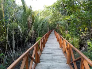 Middle Andaman