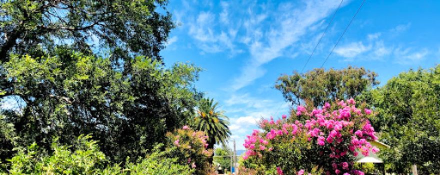 Anzac Park