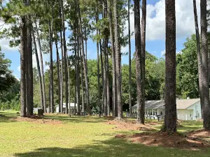 Jefferson Davis State Historic Site
