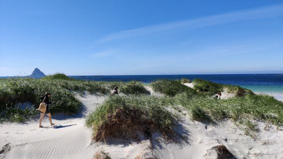 Bleik sandstrand