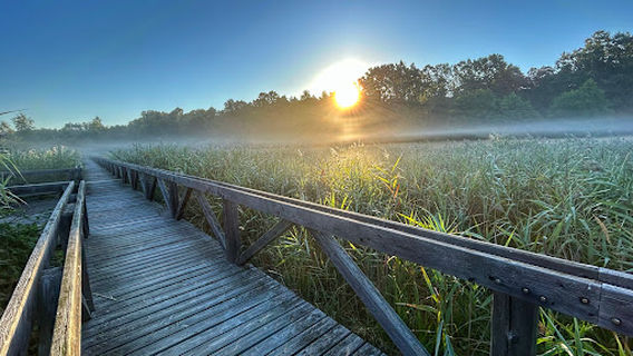 Baláta-tavi természetvédelmi terület