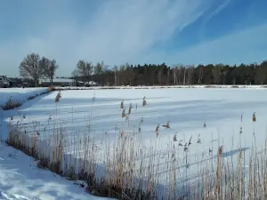 Park Tysiąclecia