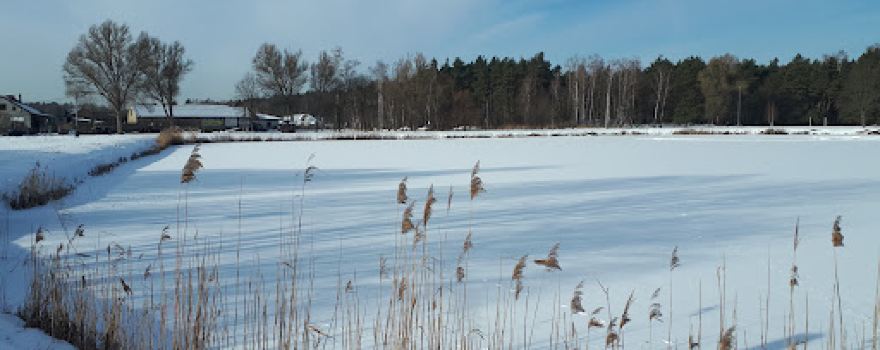 Park Tysiąclecia