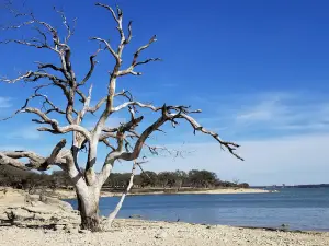 Airport Beach Park