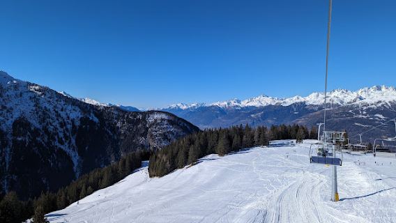 Aprica