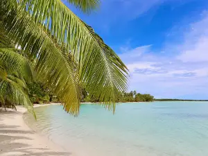 Cocos Island Adventure Tours