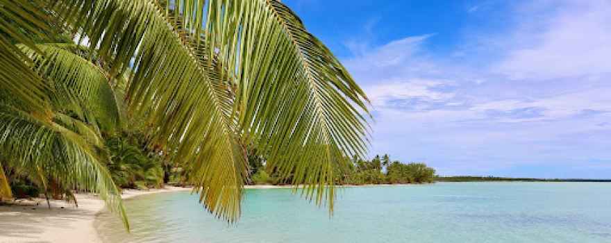 Cocos Island Adventure Tours