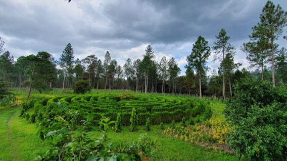 Finca Forestal San Nicolás