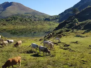Étang De Lers