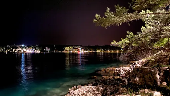 Čikat Dog Beach - Plaža za pse