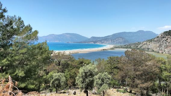 Kaplumbağa Hastanesi