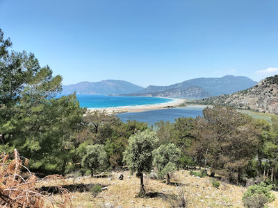 Kaplumbağa Hastanesi