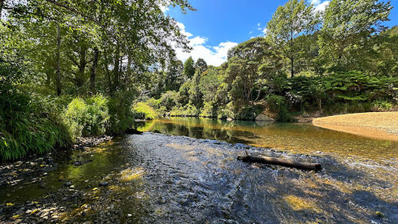 Bayliss Reserve