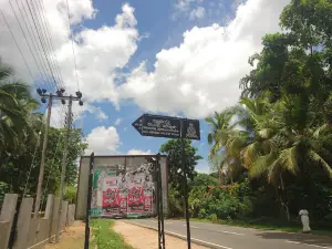 Galabedda Biso Pond ගලබැද්ද බිසෝ පොකුණ