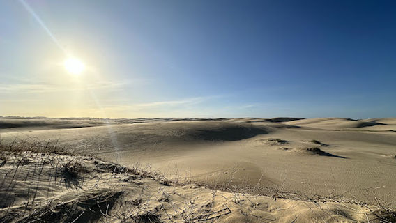 Stockton Beach