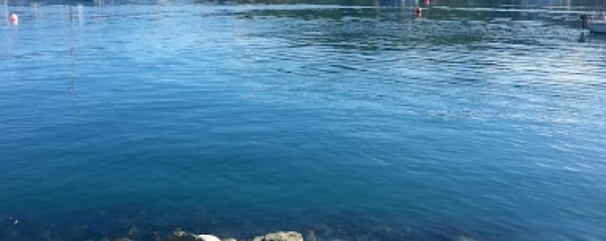 Waikawa Jetty