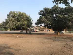 S.T Bus Station Dhari