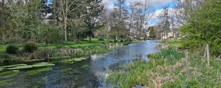 Stotfold Mill Meadows