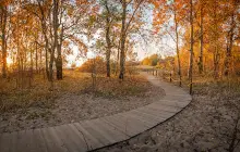 Заказник «Западный Котлин»