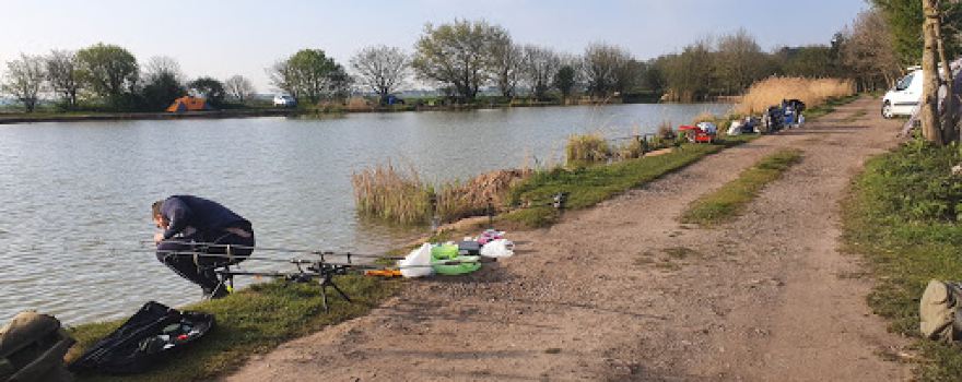 Rosemary Wood Fisheries
