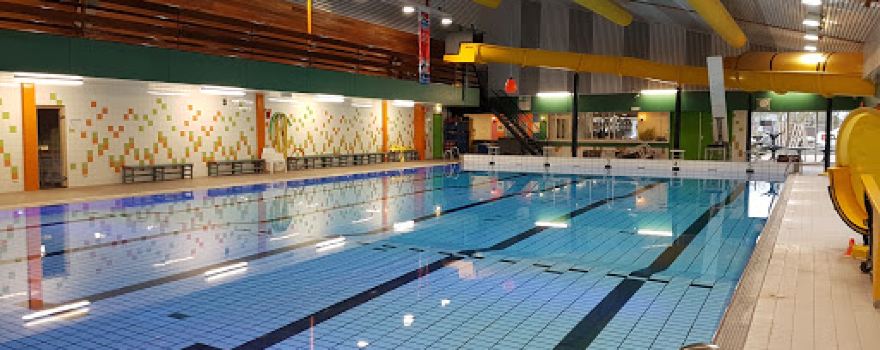 Sporthoeve