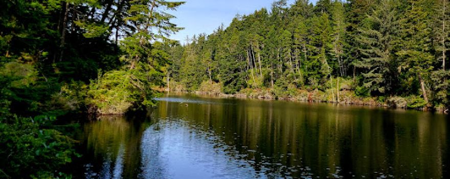 Umpqua Lighthouse State Park