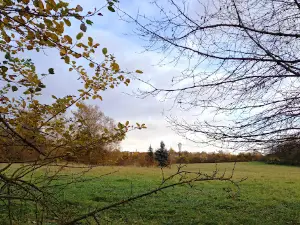 Borkener See Nature Reserve