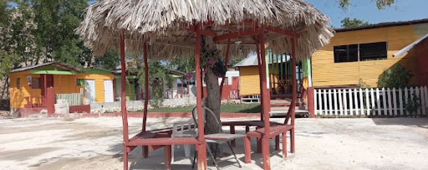 Deano's Cafè: Pelican bar tour offered here