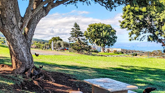 Harold W Rice Picnic Area