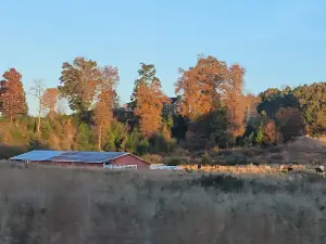 The Beautiful Rock Campground, RV, and Music Park