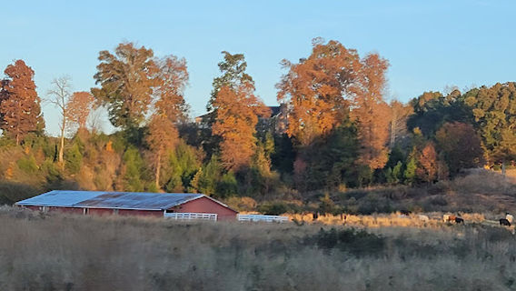 The Beautiful Rock Campground, RV, and Music Park