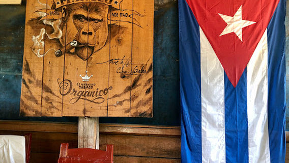 Casa Manolo tabacco plantations