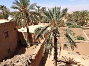 Berber Museum