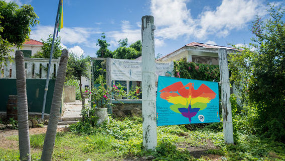 Amuseum Naturalis at The Old House