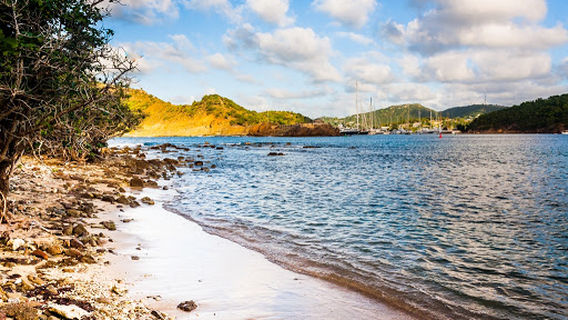 Carpenter Rock Trail