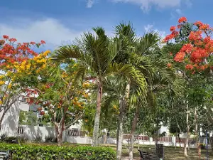 La Caperuza Park