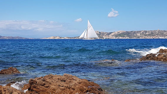 Spiaggia di Punta Nera ( accesso ai cani )